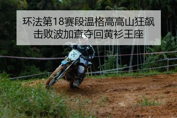 环法第18赛段温格高高山狂飙 击败波加查夺回黄衫王座